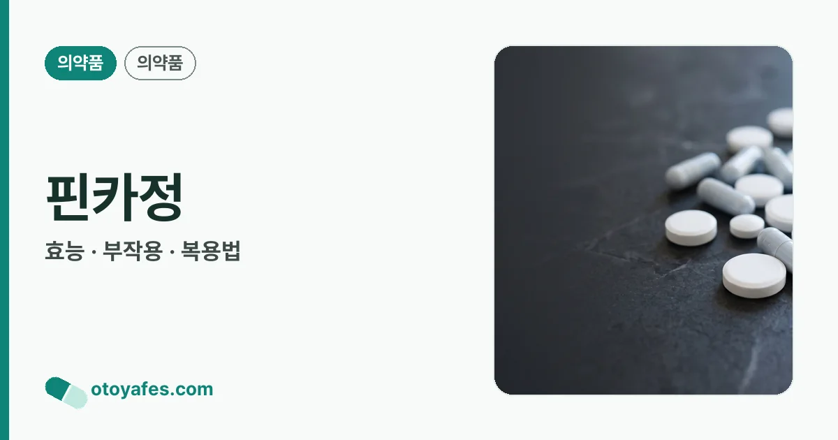 핀카정 정리 썸네일