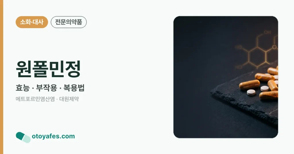 원폴민정 정리 썸네일