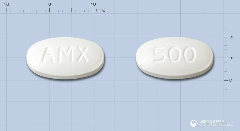 오그멕스듀오정500mg 실물 사진