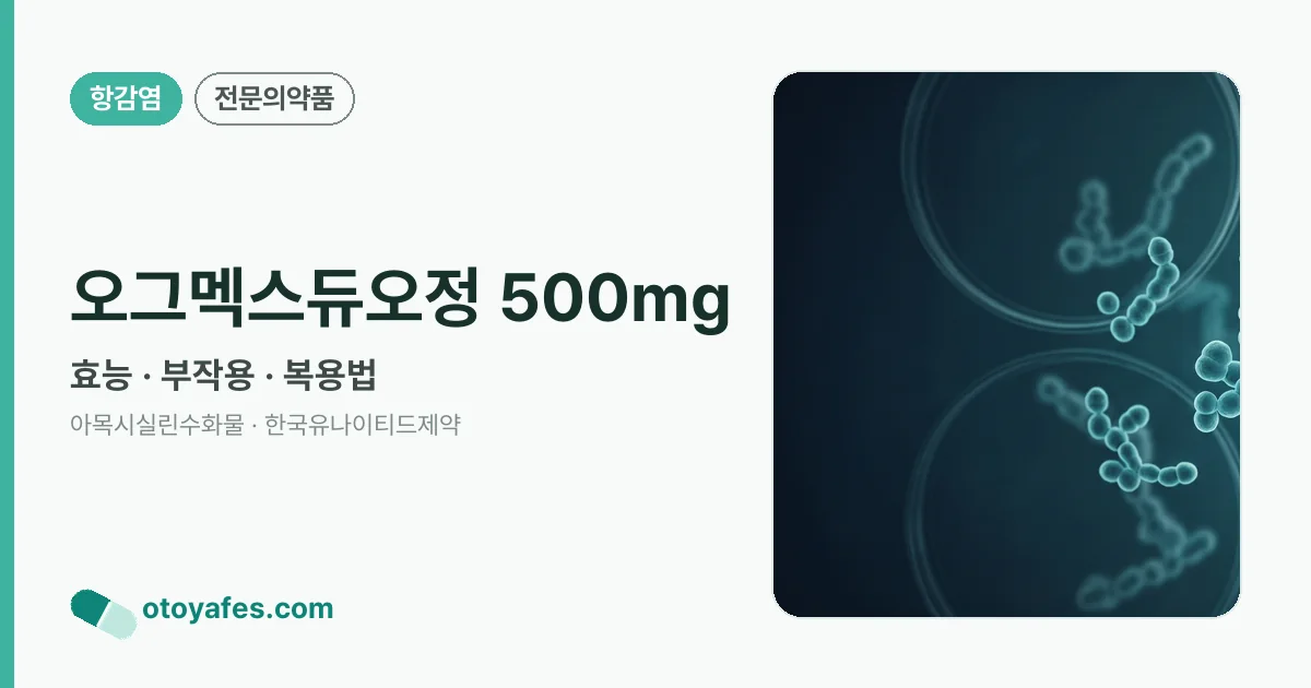 오그멕스듀오정 500mg 정리 썸네일