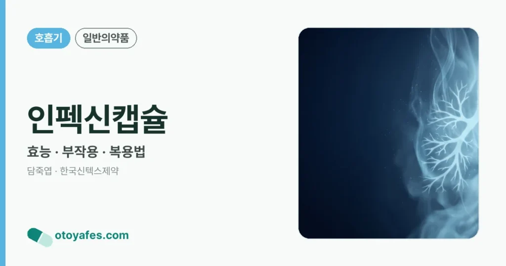 인펙신캡슐 정리 썸네일