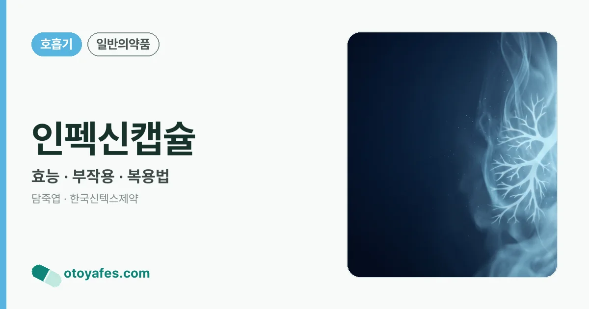인펙신캡슐 정리 썸네일