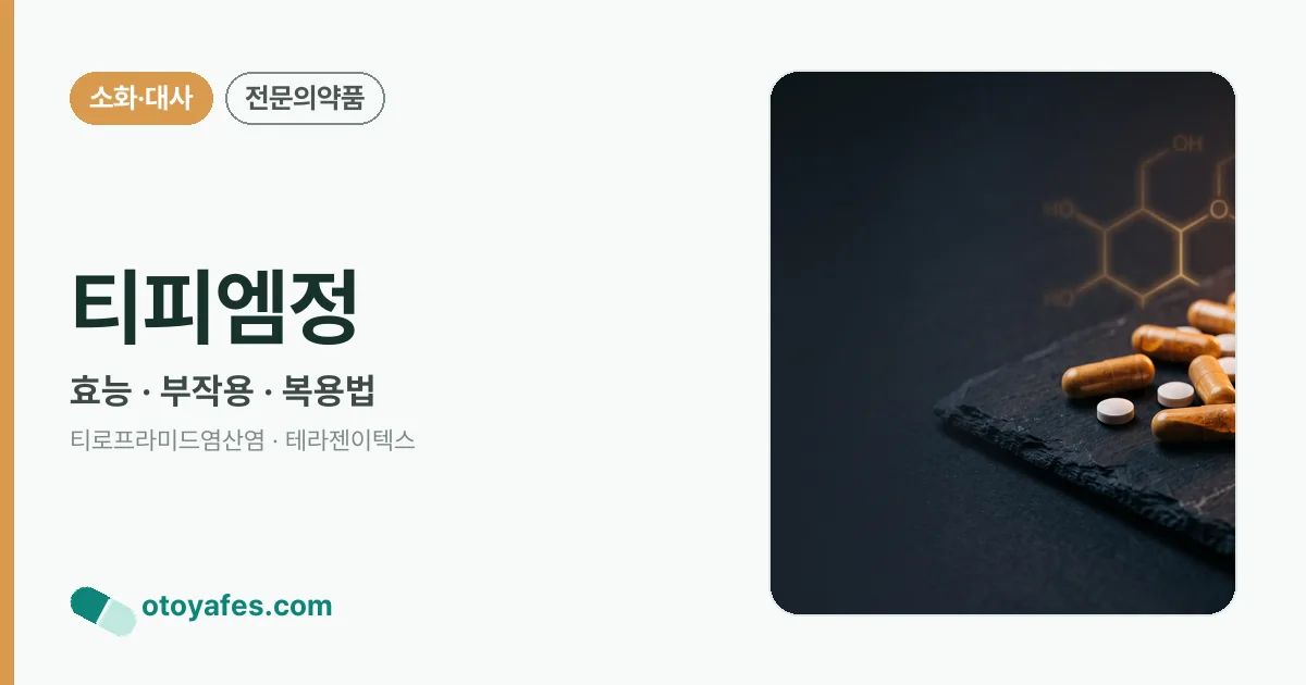 티피엠정 정리 썸네일