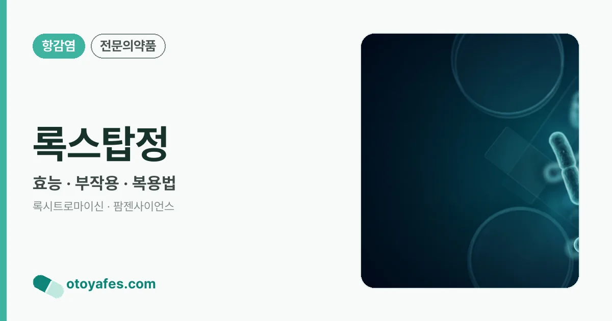 록스탑정 정리 썸네일