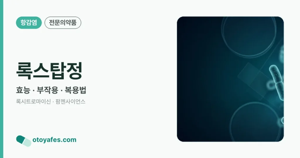 록스탑정 정리 썸네일