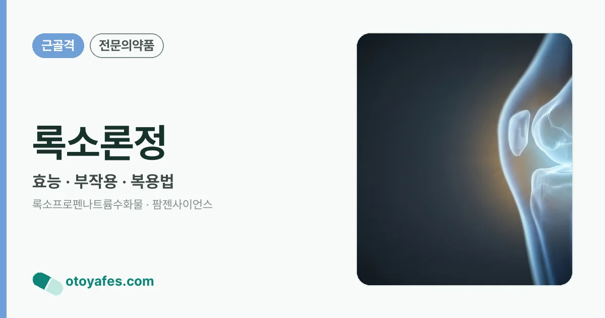 록소론정 정리 썸네일