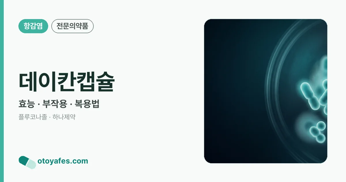 데이칸캡슐 정리 썸네일