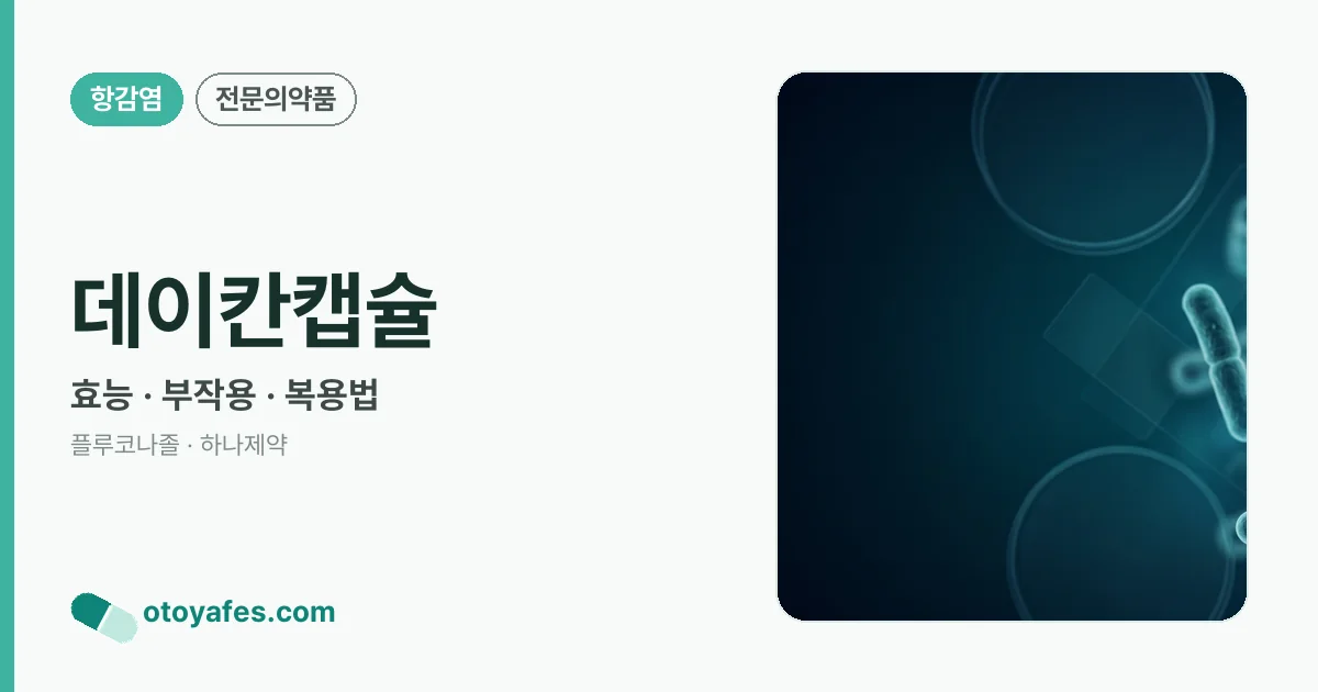 데이칸캡슐 정리 썸네일
