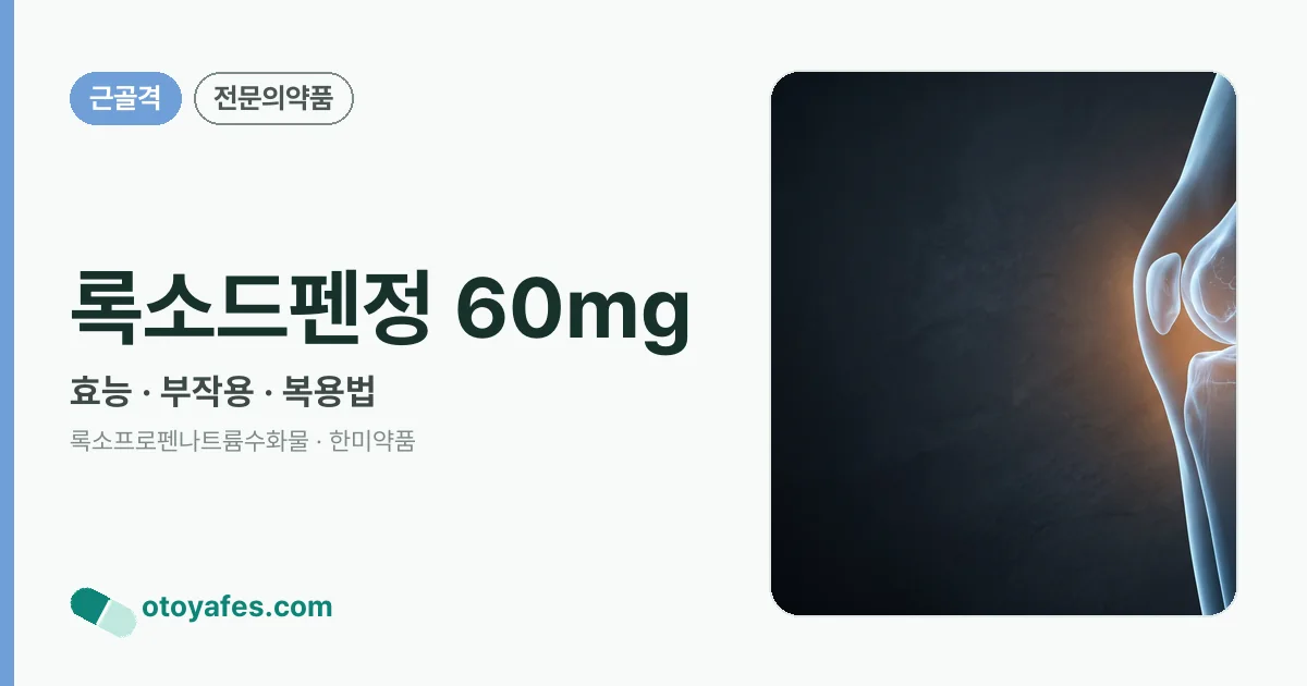 록소드펜정 60mg 정리 썸네일