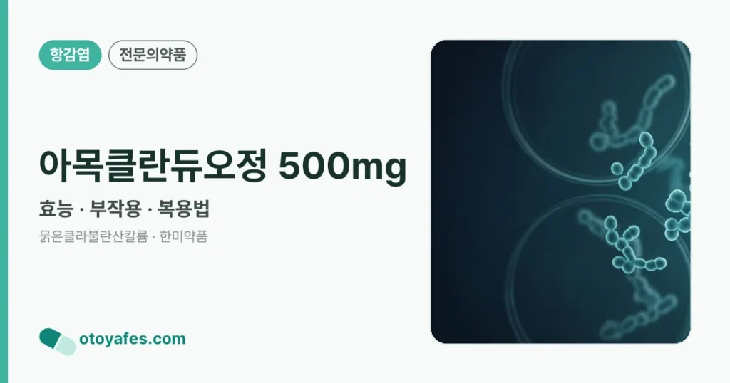 아목클란듀오정 500mg 정리 썸네일