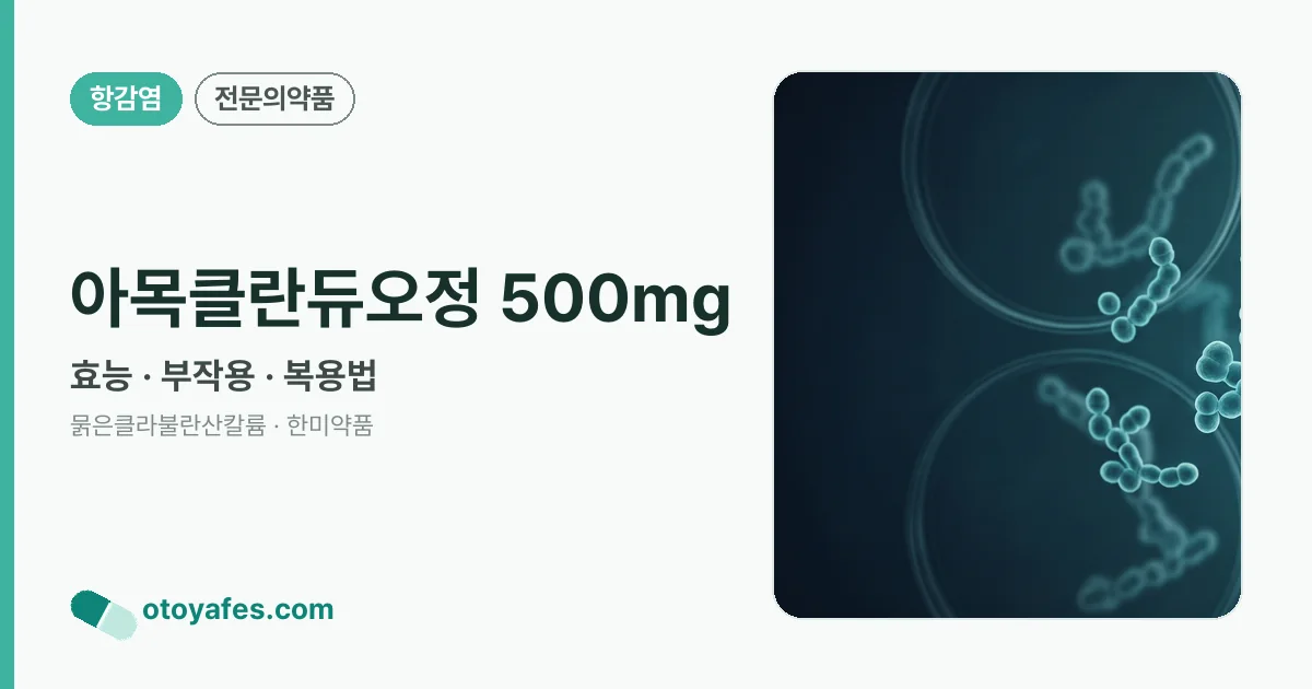 아목클란듀오정 500mg 정리 썸네일