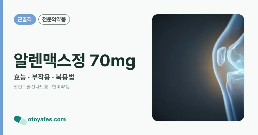 알렌맥스정 70mg 정리 썸네일