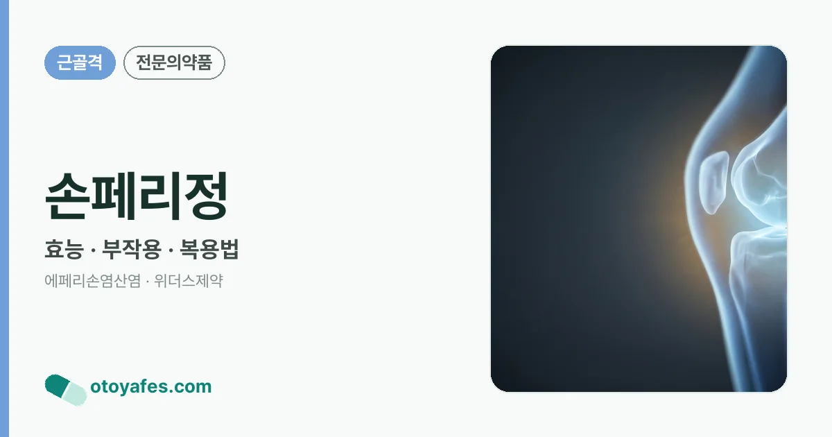 손페리정 정리 썸네일