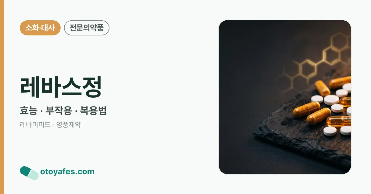 레바스정 정리 썸네일