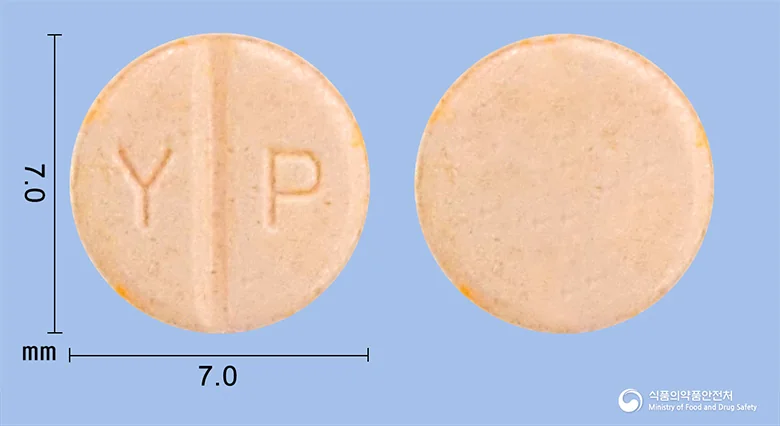 하이조신정2mg 실물 사진