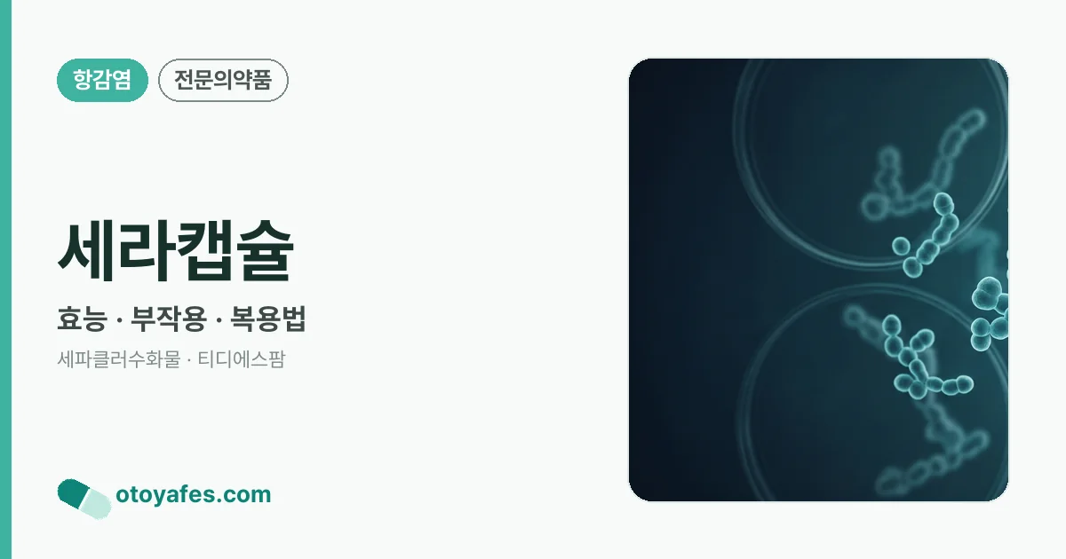 세라캡슐 정리 썸네일