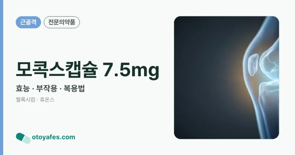 모콕스캡슐 7.5mg 정리 썸네일