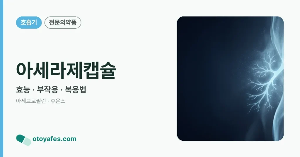 아세라제캡슐 정리 썸네일