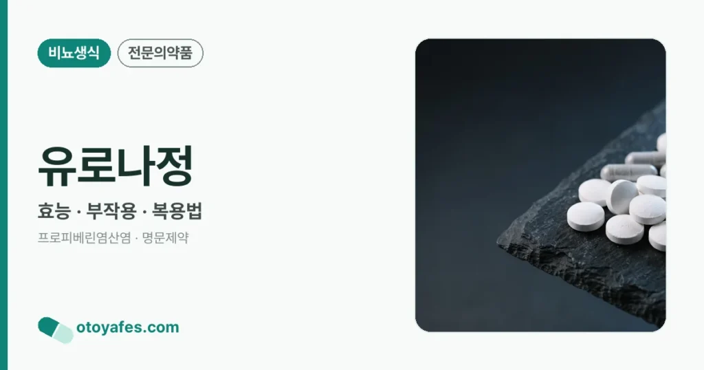 유로나정 정리 썸네일