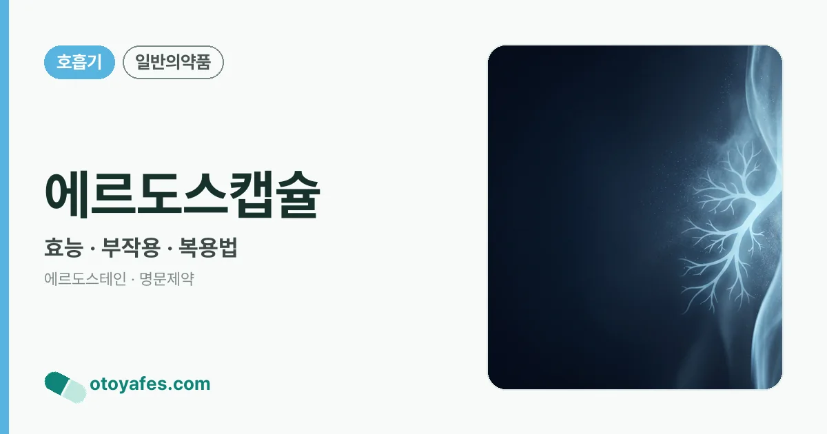 에르도스캡슐 정리 썸네일
