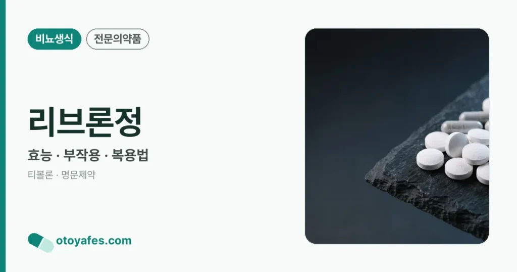 리브론정 정리 썸네일