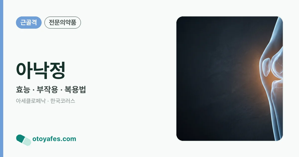 아낙정 정리 썸네일