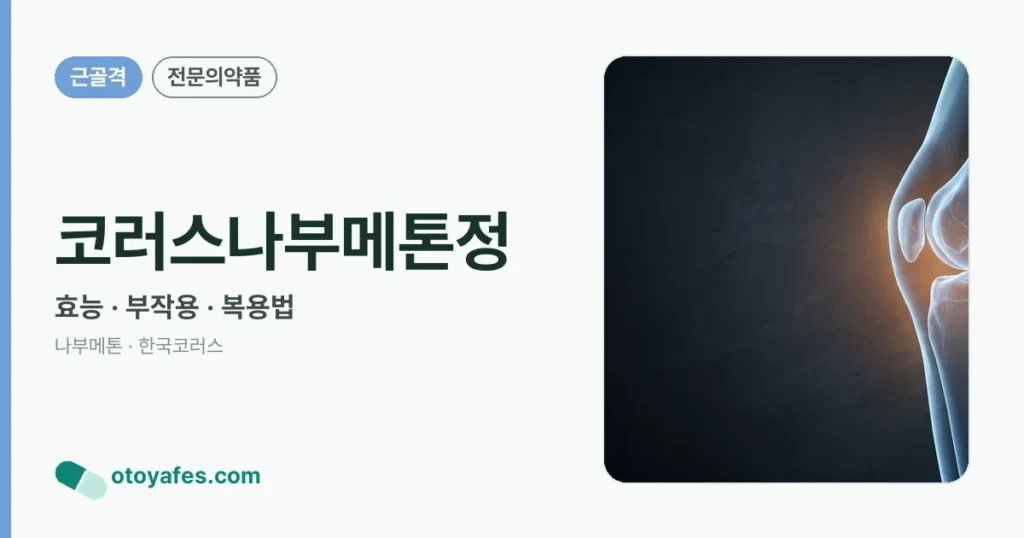 코러스나부메톤정 정리 썸네일