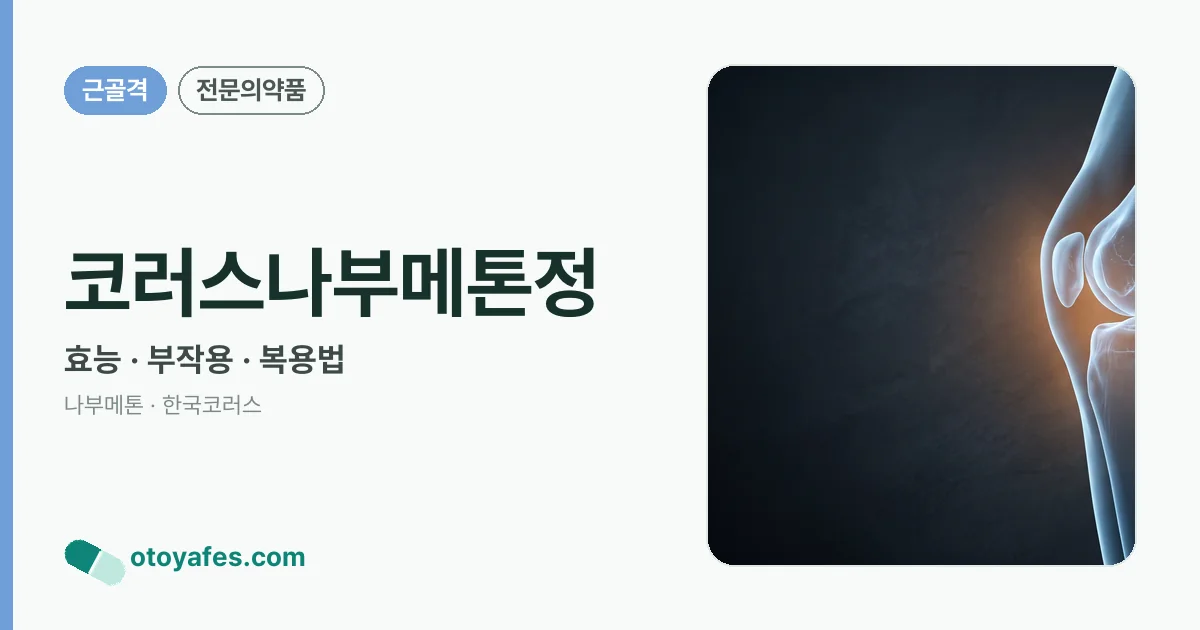 코러스나부메톤정 정리 썸네일