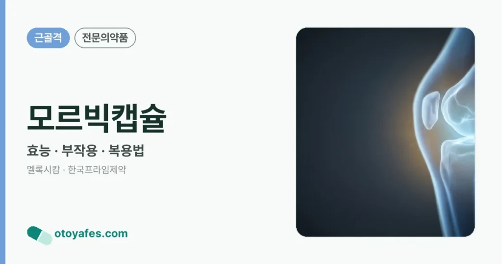 모르빅캡슐 정리 썸네일