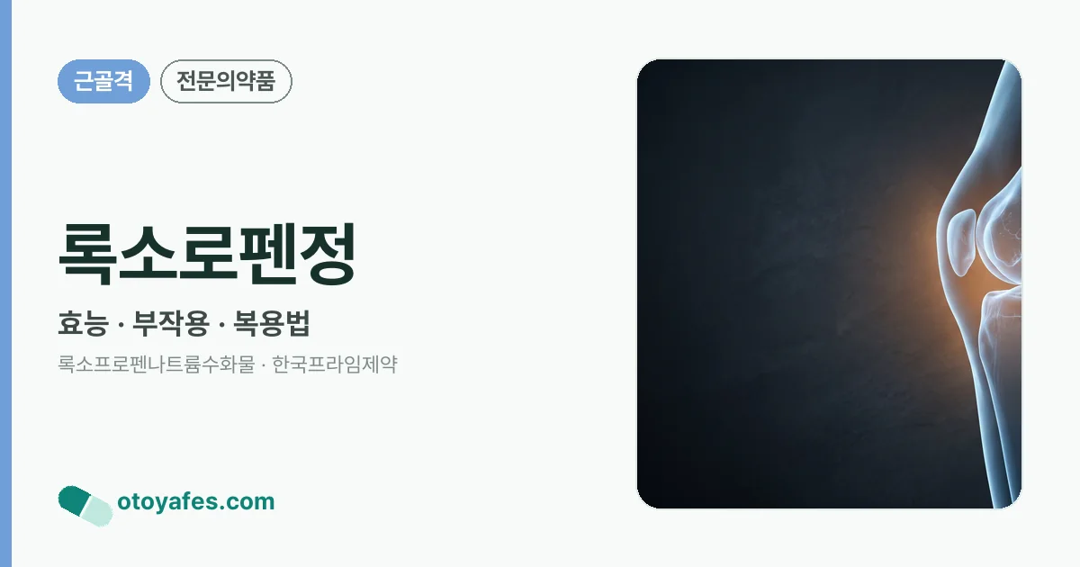 록소로펜정 정리 썸네일