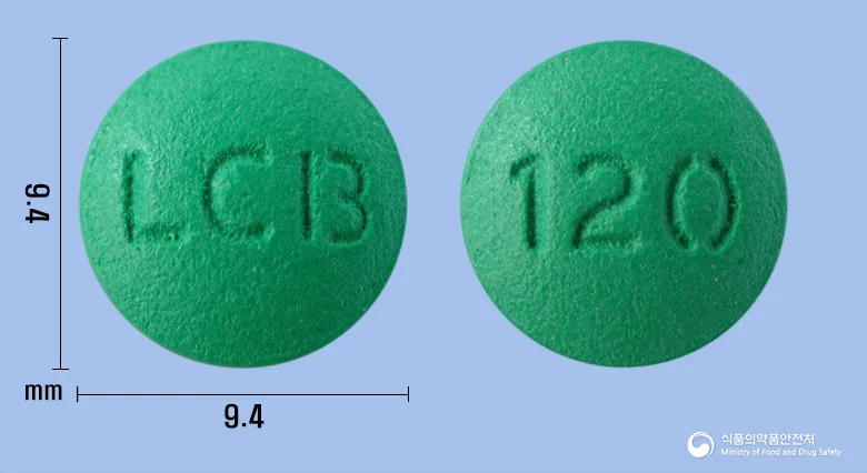 징코멕스정120mg 실물 사진