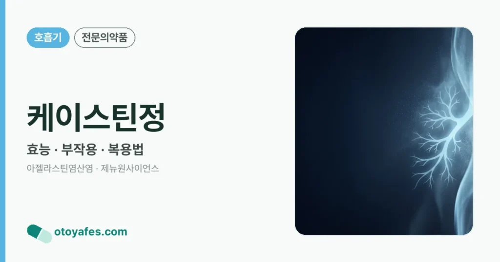 케이스틴정 정리 썸네일