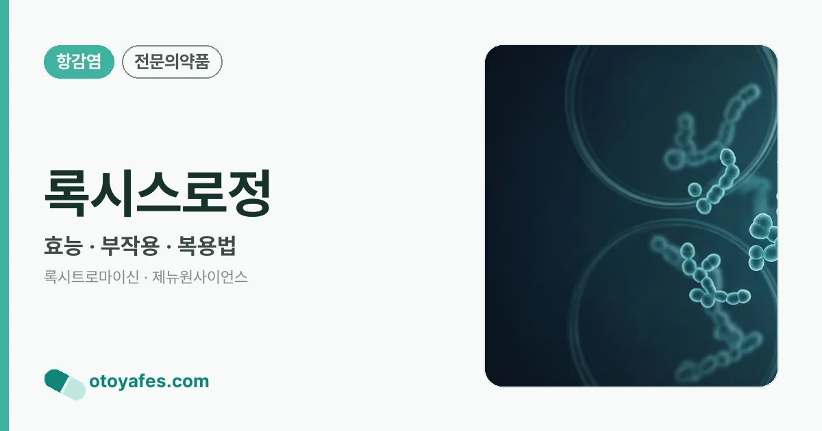 록시스로정 정리 썸네일