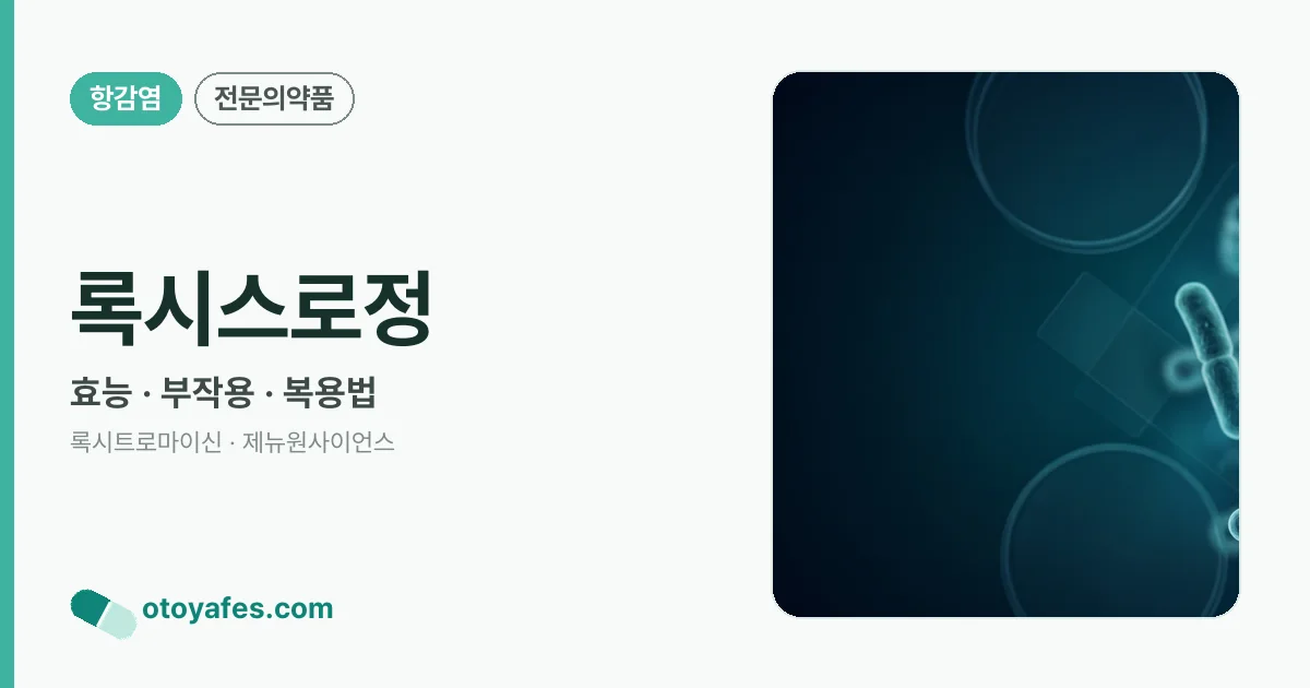 록시스로정 정리 썸네일