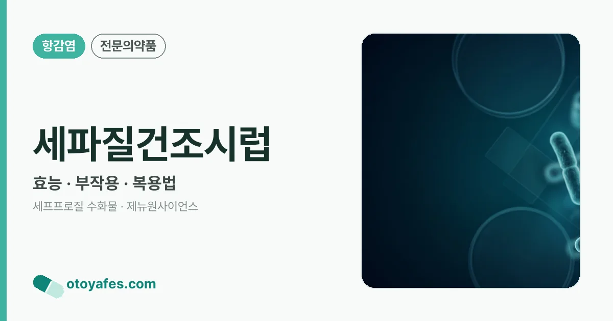 세파질건조시럽 정리 썸네일