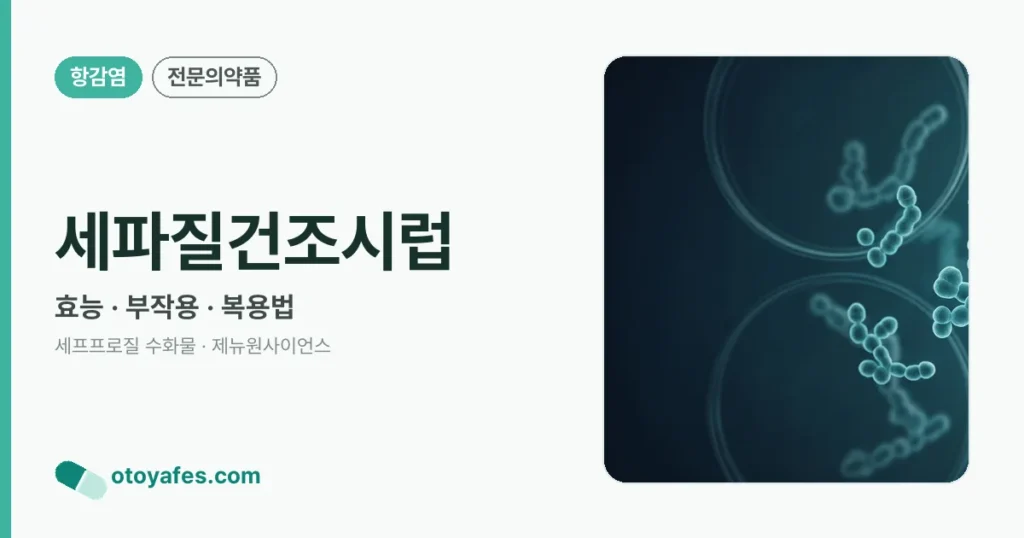 세파질건조시럽 정리 썸네일