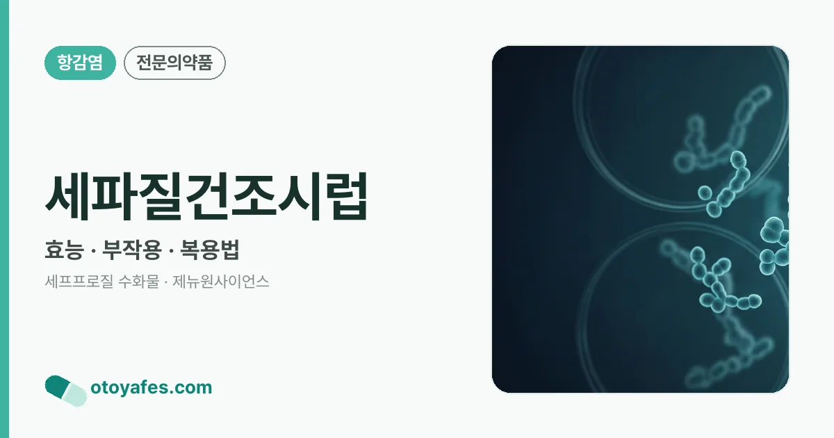 세파질건조시럽 정리 썸네일