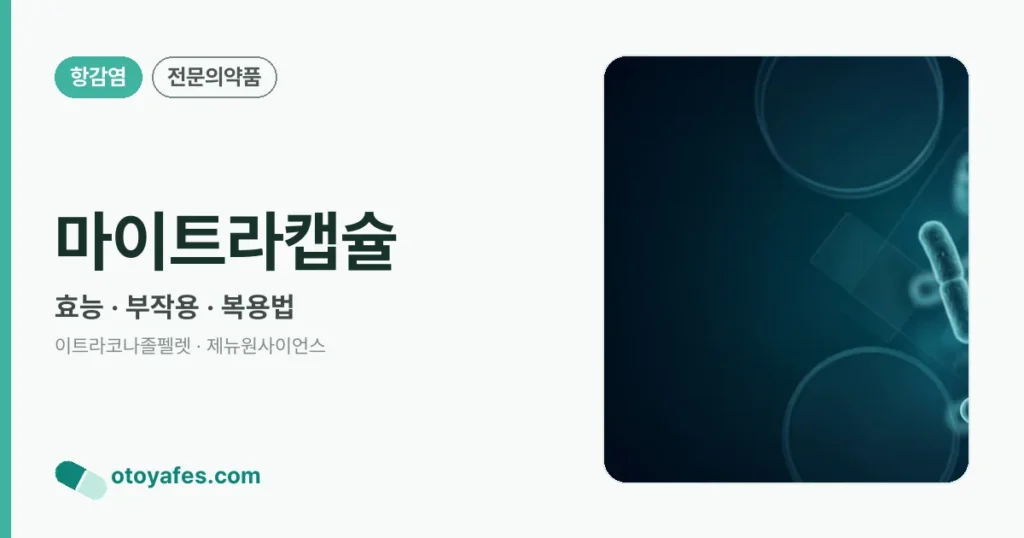 마이트라캡슐 정리 썸네일