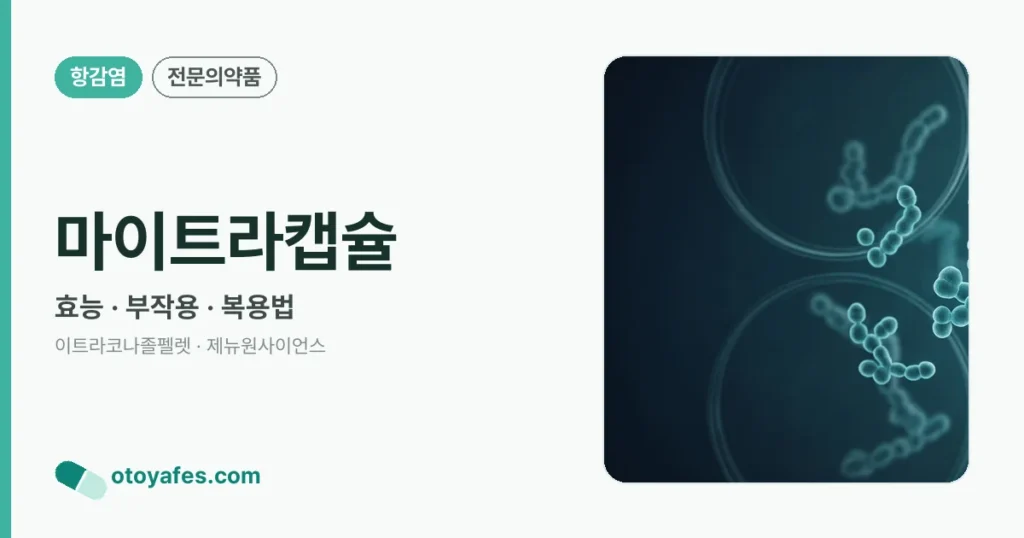 마이트라캡슐 정리 썸네일