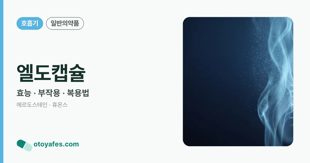 엘도캡슐 정리 썸네일