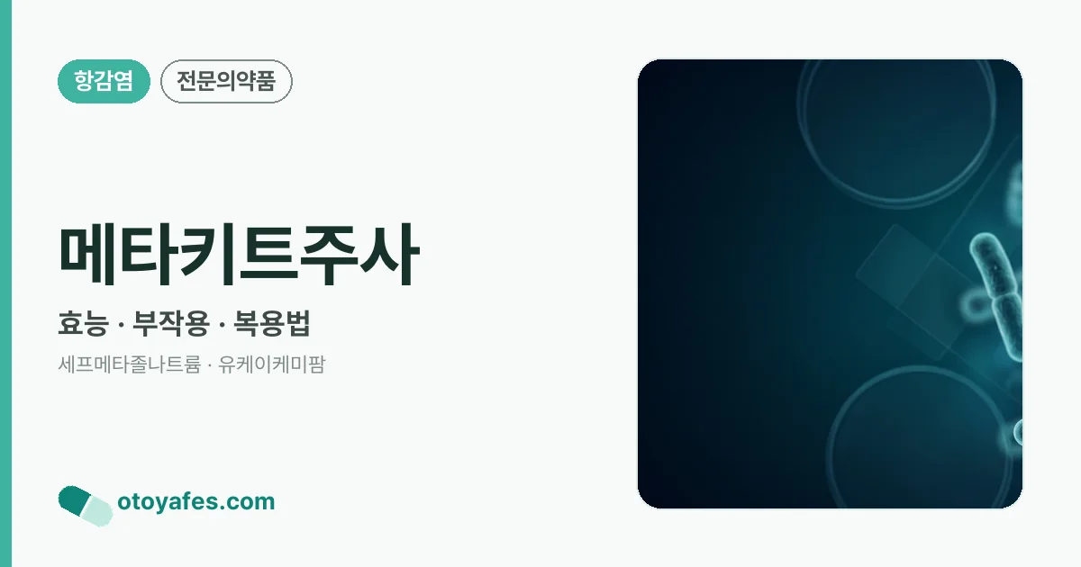 메타키트주사 정리 썸네일