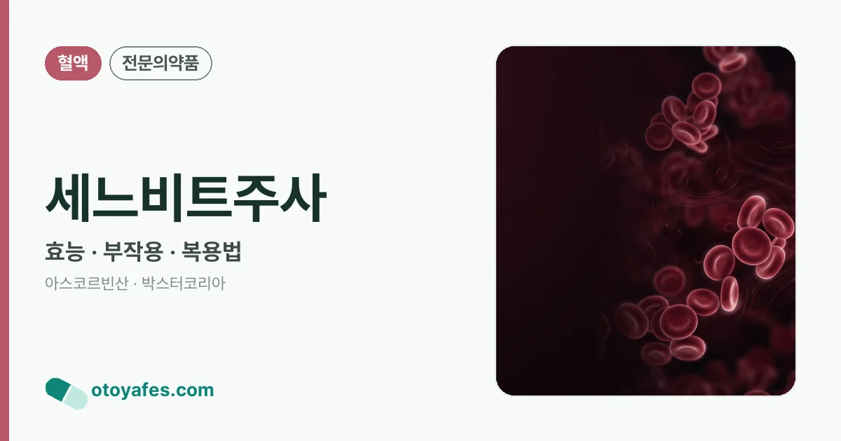 세느비트주사 정리 썸네일