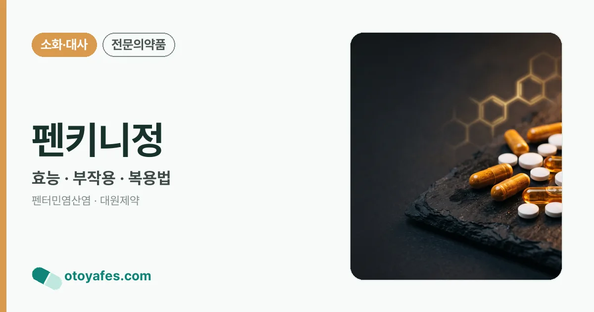 펜키니정 정리 썸네일