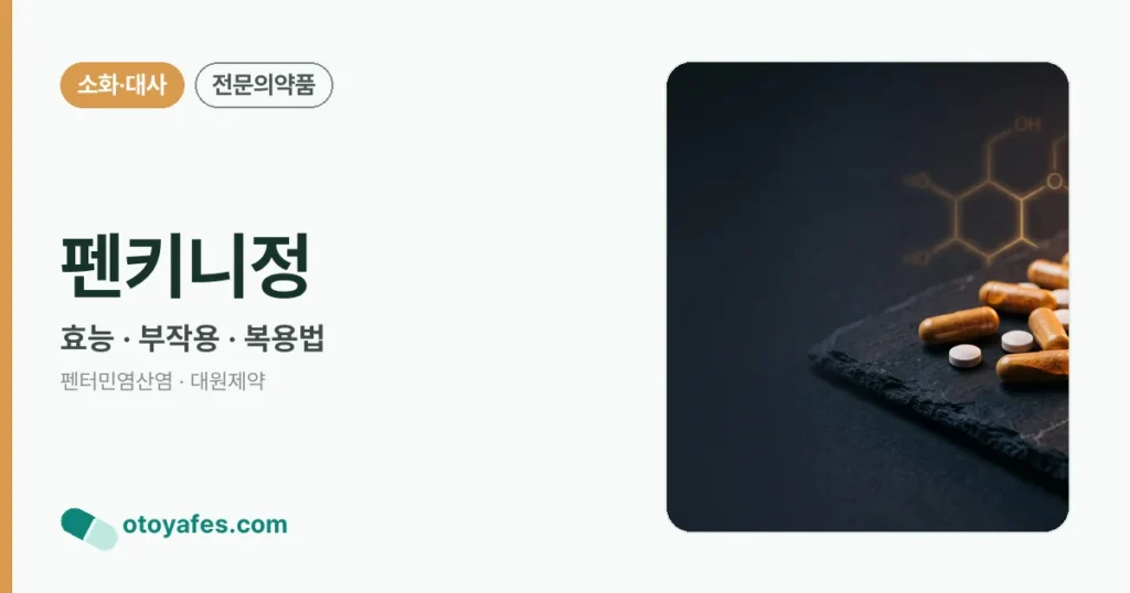 펜키니정 정리 썸네일