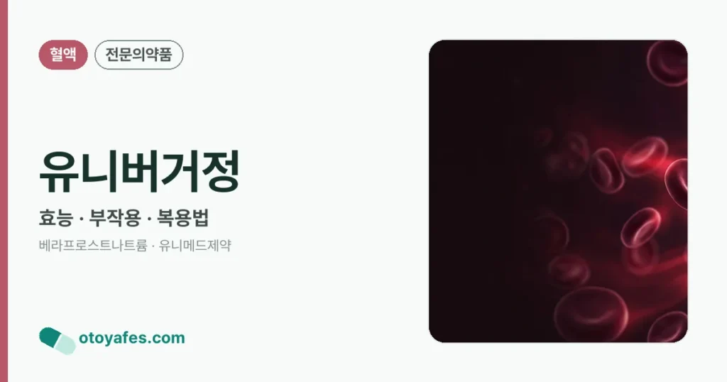 유니버거정 정리 썸네일