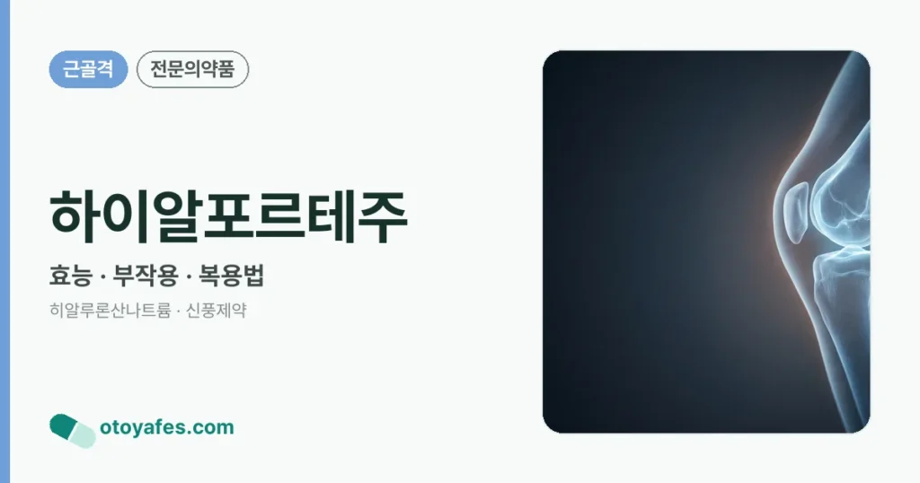 하이알포르테주 정리 썸네일