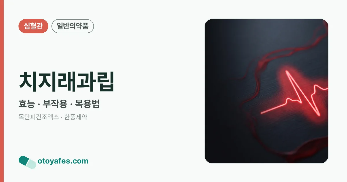 치지래과립 정리 썸네일