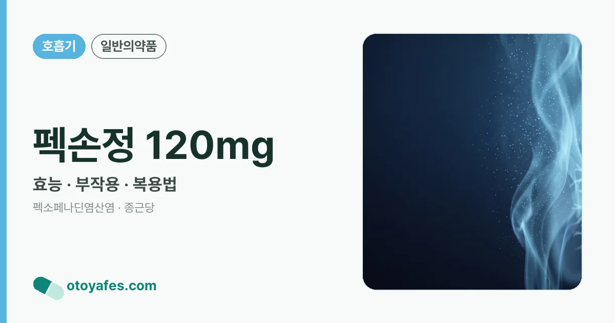 펙손정 120mg 정리 썸네일