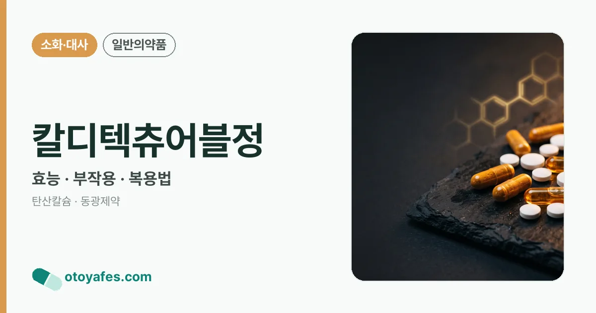 칼디텍츄어블정 정리 썸네일