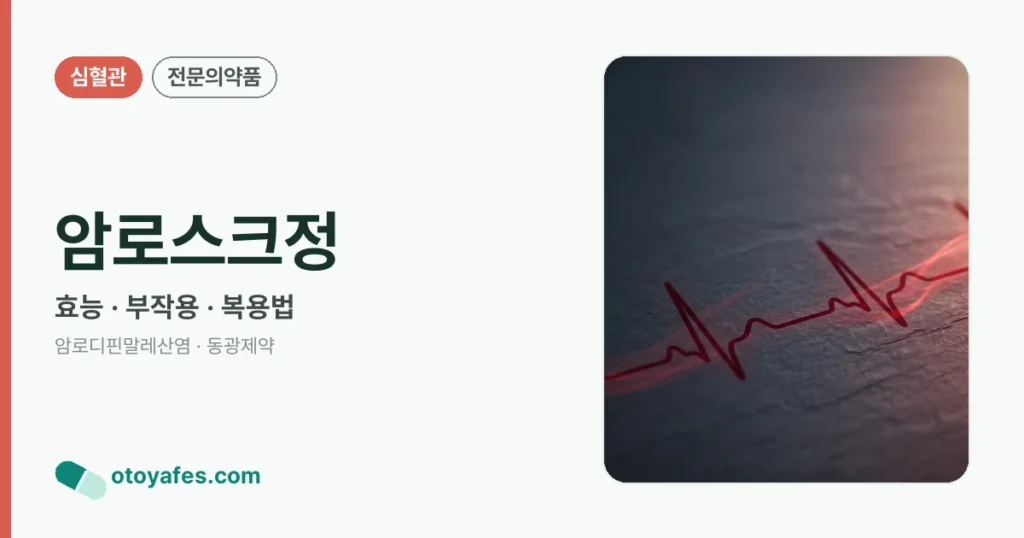 암로스크정 정리 썸네일